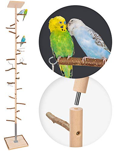 Vogelgaleria® Zimmerhoher Vogel-Kletterbaum 253-255 cm HiFly Basic mit Naturholz-Sitzstangen Vogelspielzeug Vogelspielplatz Freisitz Freiflug Landeplatz für Wellensittich Nymphensittich