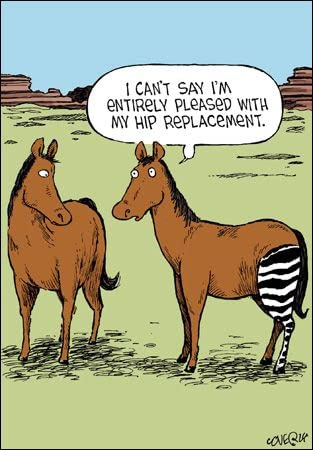 Woodmansterne Blank Humorous Greeting Card - Horse with Zebra Hip Replacement! - for Him/for Her