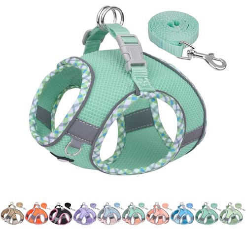 AIITLE Pettorina per cani anti-fuga, gilet anti-tiro con guinzaglio, strisce riflettenti, imbracature regolabili per animali domestici all'aperto per cani di taglia media, Turchese M
