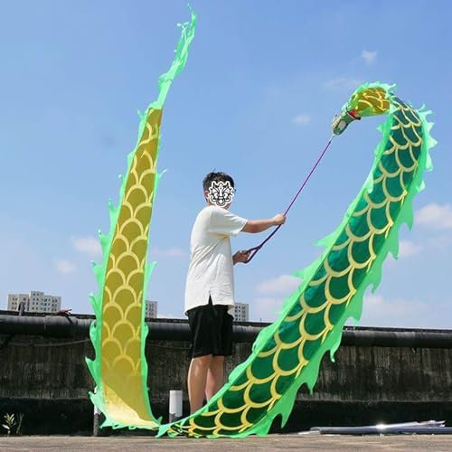 Jonglering Silkesliknande Träning Dragon Poi Kort, Grön Wu Lång Drakeband Streamer, Flytande Sport Fitness Drake med Barn, Drakespel Utomhus(2 m (6.6 ft))