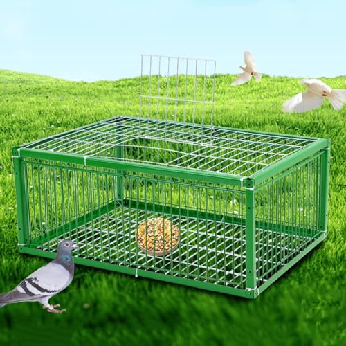 DEOPXF Piège à Pigeons avec Conception Anti-Fuite, piège à colombes, caille et Moineau, Cage d'extérieur galvanisée pour Poulet et Oiseaux avec Lucarne, Assemblage Facile(40x30x26cm)
