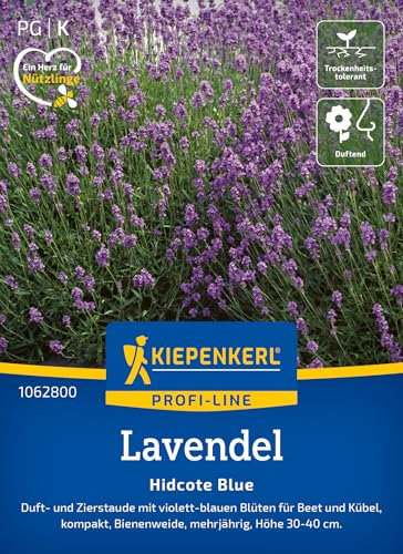 Kiepenkerl Profi-Line Lavendelsamen Hidcote Blue 1062800 - Duft- und Zierstaude mit violett- blauen Blüten für Beet und Kübel - Pflanzen, Blumensamen, Saatgut
