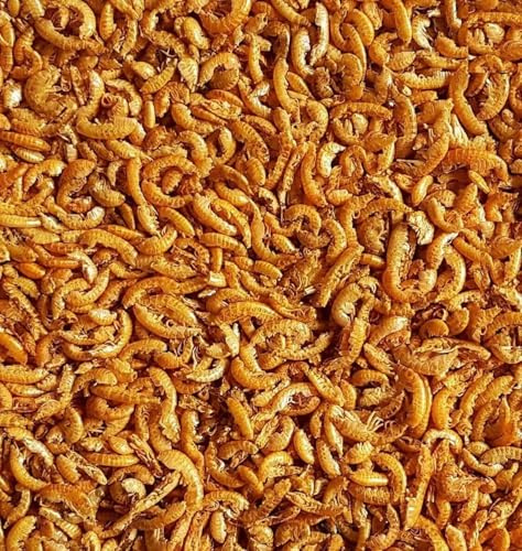Natural Dried Small Shrimps 1Kg Premium Quality Complete Food For all Tropical, Pond Fish Reptiles etc LGDS