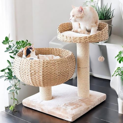 Klösträd Bananlöv med naturlig sits – 55 cm katttorn med 8 cm tjock sisalpelare, inkl. mjuk ullkudde – insekts- och mögelresistent, robust och lätt att rengöra