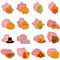 Elepl 16 Pièces Emporte Piece Pate a Sucre 3D Moule Biscuit avec Feuille D'érable Ecureuil Motif de Dinde pour la FêTe de Action de GrâCes DIY DéCoration de GâTeau