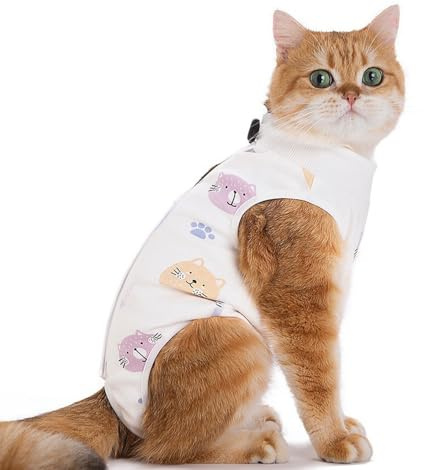 Acoutpet Cat Recovery Suit Female Kitten Onesie for Cats After Surgery Female Spay Surgical Abdominal Wound Skin Diseases Cone Collar Soft Alternative Wear (Cat, M)