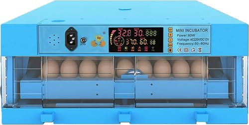 OZBMA Incubatrice per Uova Incubatrice per polli Incubatrice per Pulcini Incubatrice Digitale ad Aria