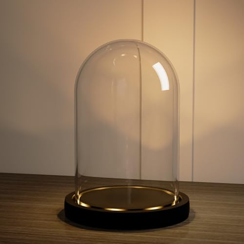 Nynelly Campana de Cristal con Base de Negra con Luz LED, Cupula Cristal Decorativa de 11,5 x 17,5 cm, Fanal Cristal Transparente para Figuritas, Recuerdos, Centro de Mesa, Regalos Ideales