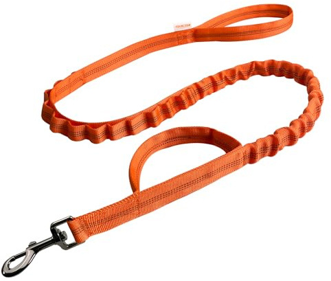 FOVRLZSE Bungee Dog Leash, Reflective Shock Absorbing, 4FTâ5FT,Orange