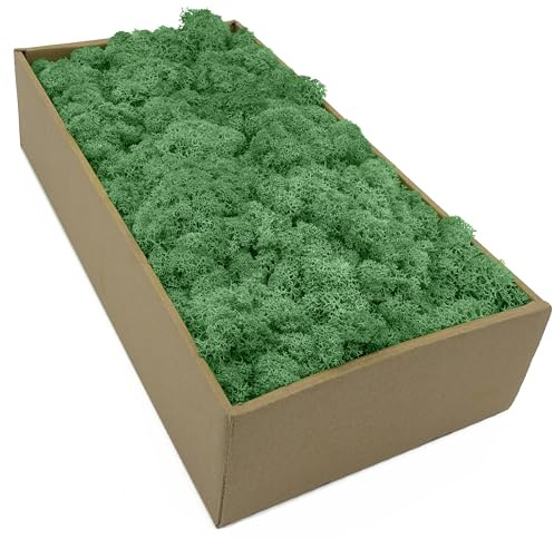 Islandmossa – mossa i 5 olika Färger 250 gr/500 gr/1 kg äkta konserverad naturmossa för mossbild pyssla dekoration och modellbygge (skogsgrön, 100 gr)