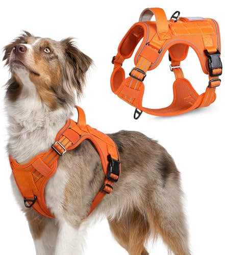 rabbitgoo Harnais Chien Anti Traction, Harnais Tactique Chien, Orange, M