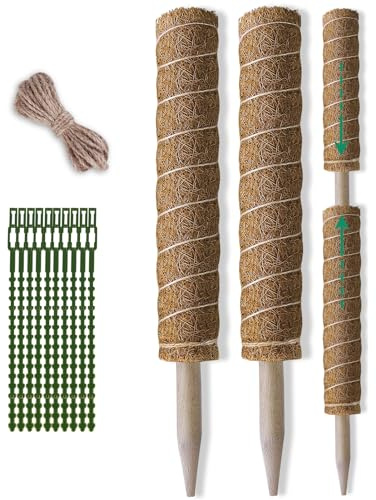 Fabulas Poste de musgo de 36 pulgadas, postes de musgo para plantas trepadoras, paquete de 2 unidades de 20.5 pulgadas, bastones de tótem de fibra de coco Monstera, palos de musgo para soporte de