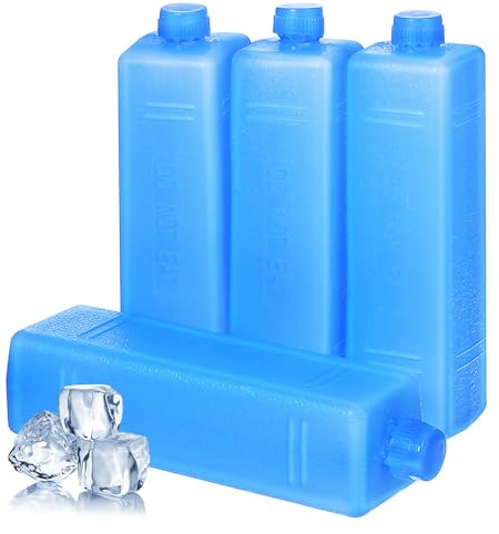 Housoutil 4 Pezzi Set Impacchi di Ghiaccio Riutilizzabili per Spedizioni Refrigerate, Scatole di Ghiaccio Compatte e Leggere per Trasporto a Catena del Freddo, per Picnic, Viaggi e Uso