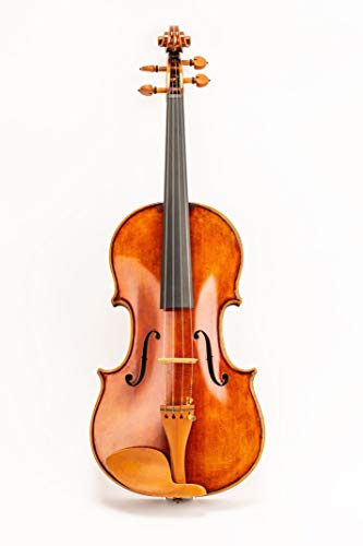 D Z Strad Viola Model N2011 with D Z Strad Bow, Case, Rosin and Shoulder Rest (Size - 16)