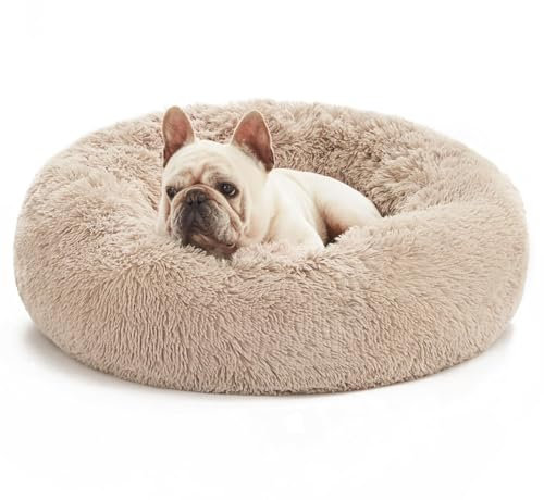 Spocado County Hundebett, Flauschiges Donutbett für Hunde & Katzen, weiches Polyester, maschinenwaschbar, Anti-Rutsch-Noppen, robust & langlebig (Beige, 60 x 60 x 20 cm)