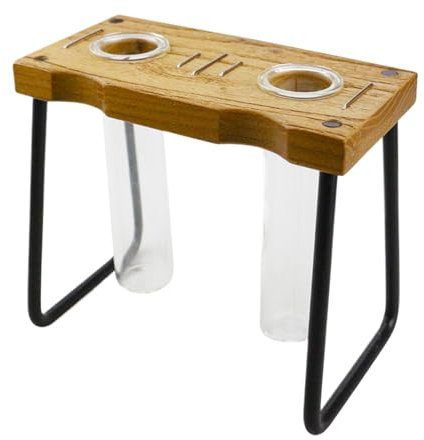 Stazioni di propagazione, terrario da tavolo con supporto in legno, contenitore trasparente per piantare, decorazione per la casa per scrivania, davanzale della finestra