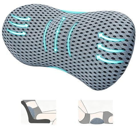 Ruiunchu Back Lumbar Support Cushion for Lower Back, Memory Foam Lumbar Support Pillow, Ergonomic Streamline Coccyx Cushion for Office Chair, Car Seat, Recliner and Sleeping (Gray)