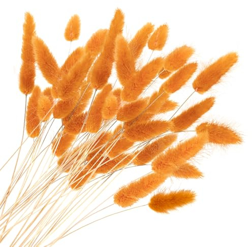 Torkade kaninsvansar, Pampasgräs Boho Bukett Torkade blommor Kaninsvansar Torra blommor för vas för ditt hem, sovrum och vardagsrum (Orange)