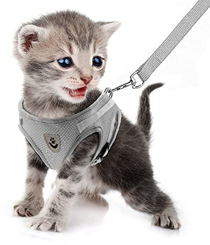 FEimaX Katzengeschirr Geschirr mit Leine Ausbruchsicher Weich Mesh Welpengeschirr Reflektierend Verstellbar Katzen Weste für Kleine Hunde Katzen Chihuahua
