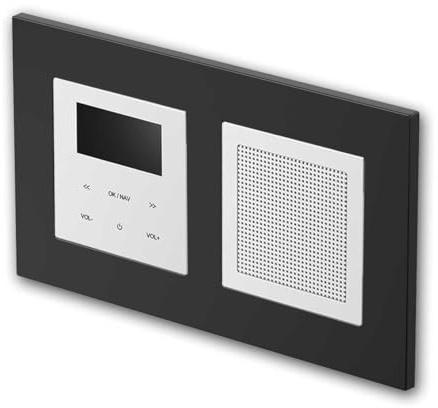 Radio encastrée LOGIQ avec Haut-Parleur 2W RMS, Dab+, FM et Bluetooth, écran OLED, Alarme et Mise en Veille programmable, livrée avec Cadre 2 Voies Flat, Noir