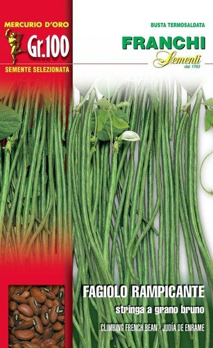 Franchi sementi semi di fagioli e fagiolini nani e rampicanti in confezioni varie (rampicante stringa a grano bruno, 100 grammi)