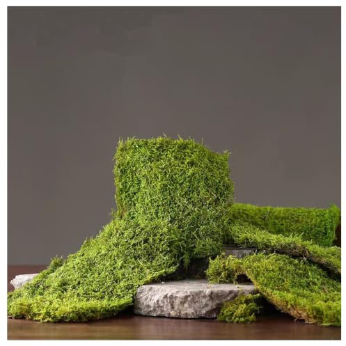 Bulk Wholesale Preserved Sheet Moss Sheet Moss Bun Moss Cushion Moss Natural Green Decorative Real Terrariums(2 sq.ft.) (Green-B)