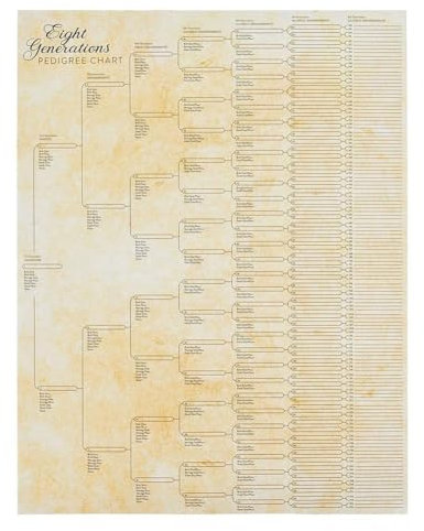 Stammbaum-Diagramm zum Ausfüllen, kompaktes Stammbaumdiagramm der 8. Generation, leeres Ahnentafel zum Ausfüllen