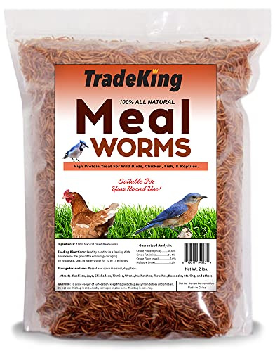 TradeKing 2 lb Dried Mealworms - High Protein Treat for Wild Birds, Chicken, Fish & Reptiles