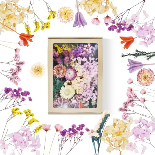 naturliga torkade blommor (papperslåda färg)