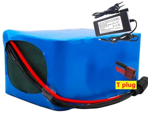 Paquete de batería de Litio de 60V 20Ah 16S2P Bicicletas eléctricas con Cargador con Placa de protección BMS con Cargador 60V 20AH E Bike Battery T/DC/XT60 Plug T Plug,60V 20Ah