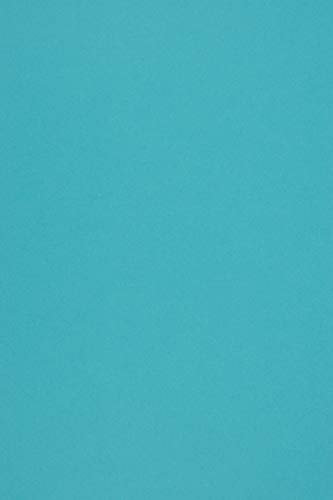 Netuno 20 fogli cartoncino riciclato azzurro formato A4 21 x 29,7 cm 285g Woodstock Azzurro carta colorata ecologica per stampa bricolage lavoretti biglietti partecipazioni inviti bomboniere