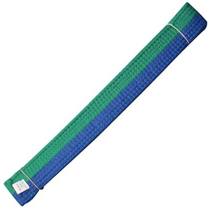 Volere è potere Ceinture de Taekwondo Judo Jiu Jitsu Gi Ceinture Arts Martiaux Ceinture Aïkido Gi Bjj Ceinture Jiu Jitsu Gi Ceinture, Bleu-vert, 2.2M