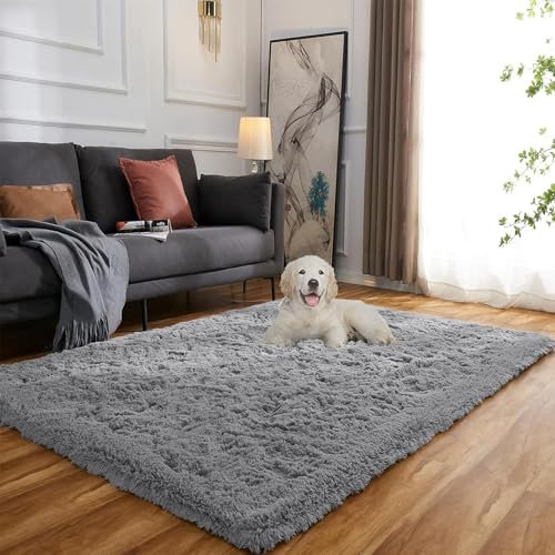 Evitany Flauschiger Teppich Wohnzimmer,Hochflor Waschbare rutschfeste Teppich Schlafzimmer,Ultra Weiche Bettvorleger,Kleiner Carpet für Kinderzimmer,Büro, Lounge(Grau, 80x120 cm)