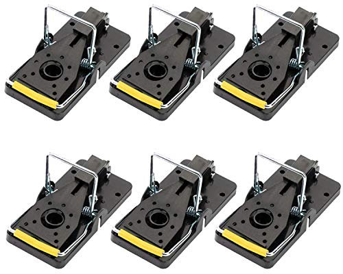 Amison Mouse Trap That Work Instantly Quick Response Reusable Rat Trap Plastic Pedal Mousetraps Easy Mouse Catching Catchers - Pack Of 6