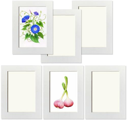 YIYINOE Cadre Photo 15 x 20 cm,Lot de 6 Cadre pour Collage Photos Décoration Mural,Cadres en Carton,Livré Avec un Film Plastique Transparent,Blanc,Installation Autocollante,Aans Clous Nécessaires