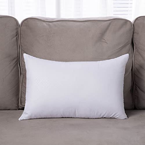 GREATOYAR Relleno de Cojín 35 x 55 cm, Cojines de Sofá o Cama, Relleno con Fibra Hueca de Alta Recuperación, Mullido Indeformable, Antialérgico, Suave e Indeformable, Hipoalergénicas, 1 Unidad