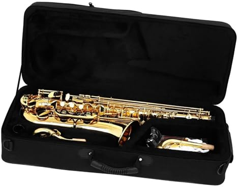 Professionell Saxofon Nybörjare Altsaxofon C tangent Guld Levereras med bärbart fodral Rörbladsrengöringskit Handskar Halsrem Stativ och tillbehör