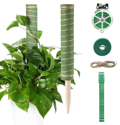 Quorvex Tutor de Musgo, Herramientas Jardineras Que Mantienen la Humedad, Soporte para Plantas Trepadoras, para Pothos Filodendro Interior Exterior Maceta Balcón Patio Jardín Invernadero