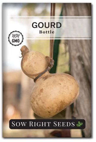 Sow Right Seeds - Bottle Gourd Seed for Planting - Non-GMO Heirloom Packet with Instructions to Plant and Grow an Outdoor Home Vegetable Garden - Ornamental Birdhouse Gourd for Crafting and Decor (1)