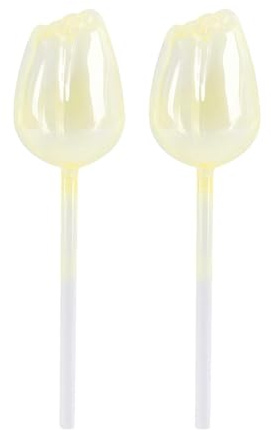 Sfere di irrigazione per piante, cipolle per piante d'appartamento, 2 punte per irrigazione in vetro decorative automatiche, sfere per mangime, inserti automatici per fioriere per sostenere