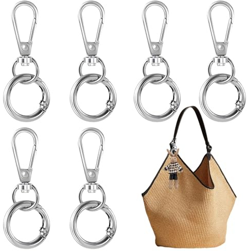 6 Stück Schlüsselanhänger Karabiner Silber, Robuste Edelstahl Schlüsselringe mit Federclip, Karabiner Schlüsselanhänger für Schlüssel, Tasche, Auto und DIY