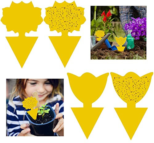 GeekerChip 50pcs Plug-in Pièges à Insectes Pièges Engluées Autocollants Colle Double,ES Mouches des Feuilles et la vermine,idéal pour Les Plantes sur Le Balcon ou dans Le Jardin(2 Formes)
