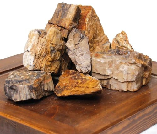 Amtra - Petrified rock, aquarium decoration, natural, non-limestone, random piece/weight