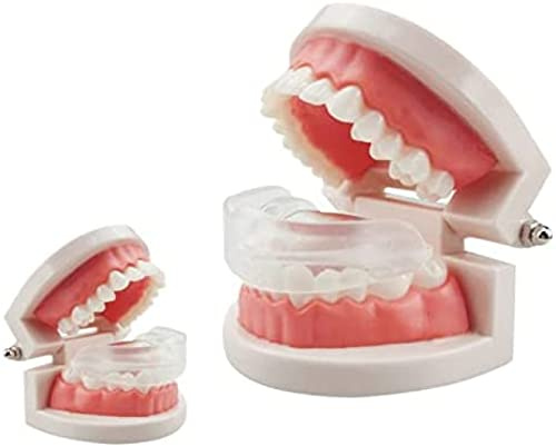 POUR Allineatori per Denti Invisibili, Vassoio di Protezione per Denti Superiori E Inferiori, Paradenti per Denti Ortodontici con Custodia,La Terza Fase,Friendly321