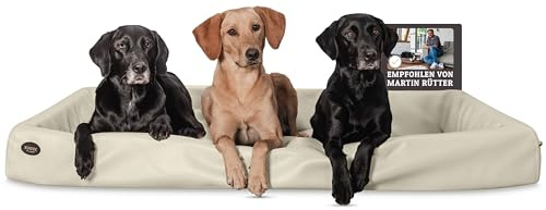 SABRO KUDDE Orthopädisches Hundebett – Martin Rütter – Hochwertiges Kunstleder – Waschbar & Wasserabweisend – Ergonomisch – Premium Haustierzubehör für Grosse Hunde XXL in Creme