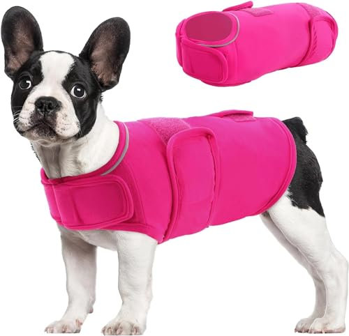 Op Body Castration pour chien - Combinaison respirante anti-léchage