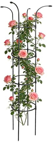 Enrejado Paraguas | Inoxidable Estable para Enredaderas,Estructura de Torre Exterior para Flores | para trepadoras, Rosas, clemátides, Pitahaya, pepinos, hortensias, jazmines y potos