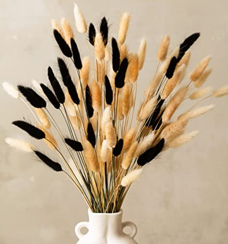Bunny Tails Pampas Grass Dried Flowers Bouquet 100 Stems - 30 White, 40 Natural, 30 Black Bunny Tails Grass, Boho Decor Small Pampass Dried Plant For Cakes Vases