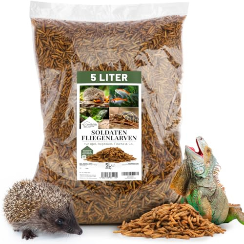 WILDLIFE HOME Larvas de mosca de soldado secadas, 5 l, alimento para insectos rico en proteínas, para reptiles, peces, tortugas, erizos y roedores, larvas enteras, alimento natural de alta calidad