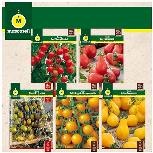 Mascarell Semillas, PACK SEMILLAS CHERRIES, Kit Huerto en Casa, Fácil de Cultivar, Contiene Red Cherry Minibel, Red Pearshaped, Atomic, Cherry Amarillo y Yellow Pearshaped